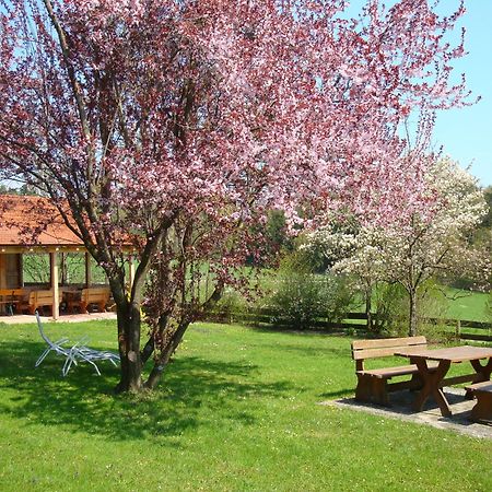 Giglerhof Apartment Бад Бирнбах Екстериор снимка