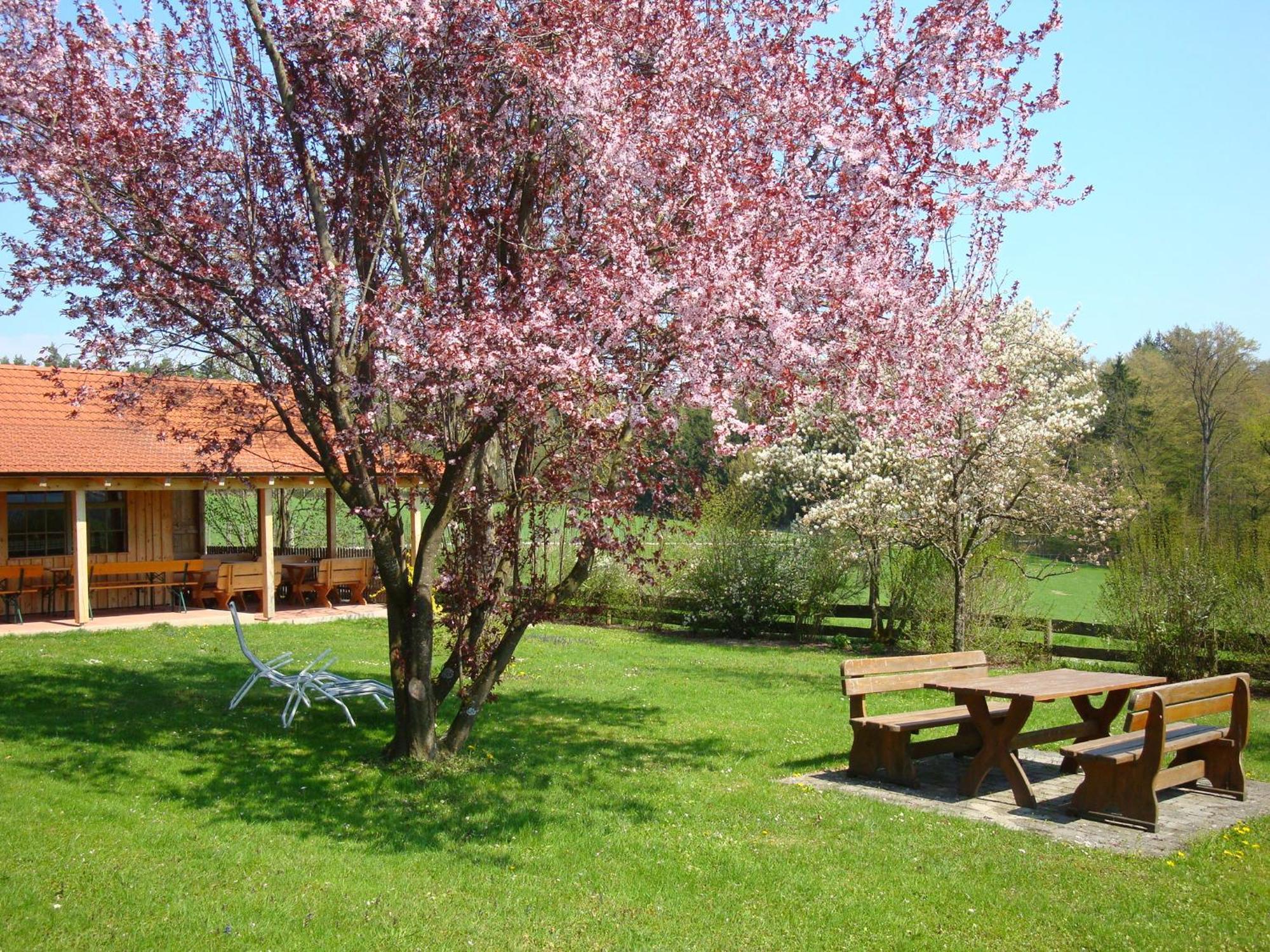 Giglerhof Apartment Бад Бирнбах Екстериор снимка